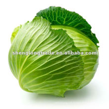 white cabbage